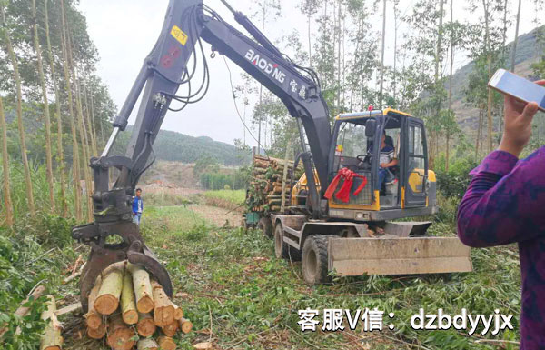 寶鼎95抓木機桉樹裝車作業.jpg