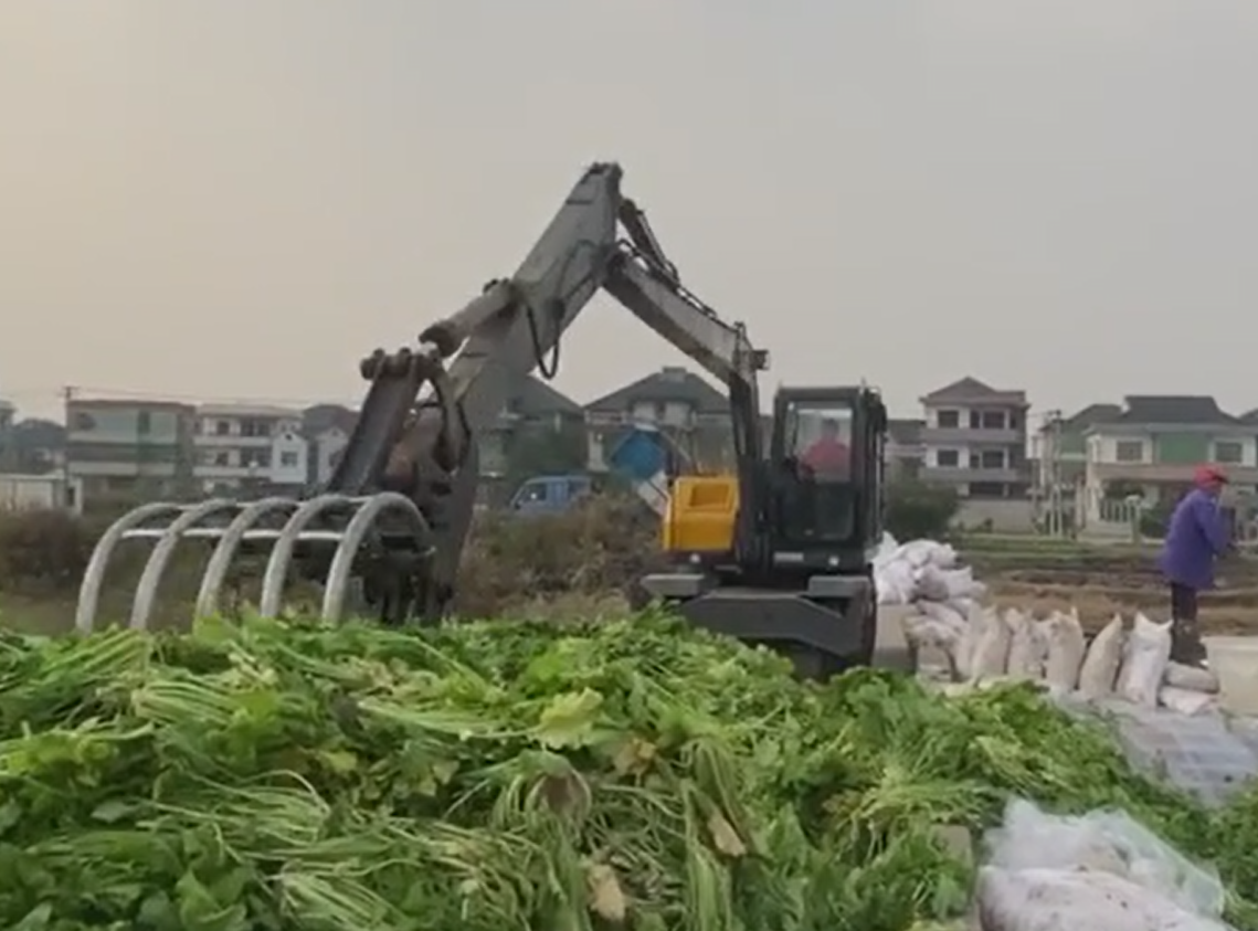 寶鼎加長臂抓料機