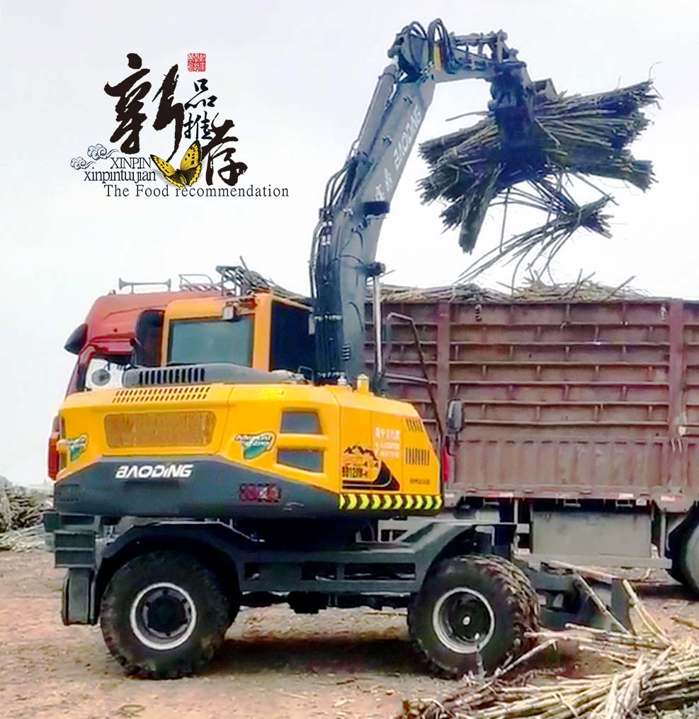 新款寶鼎120抓木機型號