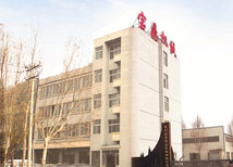 寶鼎挖掘機(jī)公司廠區(qū)外景